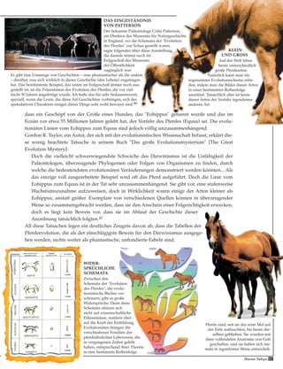 dass ein Geschöpf von der Größe eines Hundes, das "Eohippus" genannt wurde und das im
Eozän vor etwa 55 Millionen Jahren gelebt hat, der Vorfahr des Pferdes (Equus) sei. Die evolu-
tionären Linien vom Eohippus zum Equus sind jedoch völlig unzusammenhängend.
Gordon R. Taylor, ein Autor, der sich mit der evolutionistischen Wissenschaft befasst, erklärt die-
se wenig beachtete Tatsache in seinem Buch "Das große Evolutionsmysterium" [The Great
Evolution Mystery]:
Doch die vielleicht schwerwiegendste Schwäche des Darwinismus ist die Unfähigkeit der
Paläontologen, überzeugende Phylogenien oder Folgen von Organismen zu finden, durch
welche die bedeutendsten evolutionären Veränderungen demonstriert werden könnten... Als
das einzige voll ausgearbeitete Beispiel wird oft das Pferd aufgeführt. Doch die Linie vom
Eohippus zum Equus ist in der Tat sehr unzusammenhängend. Sie gibt vor, eine stufenweise
Wachstumszunahme aufzuweisen, doch in Wirklichkeit waren einige der Arten kleiner als
Eohippus, anstatt größer. Exemplare von verschiedenen Quellen können in überzeugender
Weise so zusammengebracht werden, dass sie den Anschein einer Folgerichtigkeit erwecken,
doch es liegt kein Beweis vor, dass sie im Ablauf der Geschichte dieser
Anordnung tatsächlich folgten.47
All diese Tatsachen legen ein deutliches Zeugnis davon ab, dass die Tabellen der
Pferdeevolution, die als der einschlägigste Beweis für den Darwinismus ausgege-
ben werden, nichts weiter als phantastische, unfundierte Fabeln sind.
DAS EINGESTÄNDNIS
VON PATTERSON
Der bekannte Paläontologe Colin Patterson,
ein Direktor des Museums für Naturgeschichte
in England, wo die Schemata der "Evolution
des Pferdes" zur Schau gestellt waren,
sagte folgendes über diese Ausstellung,
die damals immer noch im
Erdgeschoß des Museums
der Öffentlichkeit
zugänglich war:
Es gibt eine Unmenge von Geschichten – eine phantastischer als die andere
– darüber, was sich wirklich in dieser Geschichte (des Lebens) zugetragen
hat. Das berühmteste Beispiel, das unten im Erdgeschoß immer noch aus-
gestellt ist, ist die Präsentation der Evolution des Pferdes, die vor viel-
leicht 50 Jahren angefertigt wurde. Ich halte das für sehr bedauernswert,
speziell, wenn die Leute, die diese Art Geschichten vorbringen, sich des
spekulativen Charakters einiger dieser Dinge sehr wohl bewusst sind.46
KLEIN
UND GROSS
Auf der Welt leben
heute unterschiedlich
große Pferdearten.
Natürlich kann man ein
sogenanntes Evolutionsschema erfin-
den, indem man die Bilder dieser Arten
in einer bestimmten Reihenfolge
anordnet. Tatsächlich aber ist keine
dieser Arten der Vorfahr irgendeiner
anderen Art.
Pferde sind, seit sie das erste Mal auf
der Erde auftauchten, bis heute die-
selben geblieben. Sie wurden mit
ihrer vollendeten Anatomie von Gott
geschaffen, und sie haben sich nie-
mals in irgendeiner Weise entwickelt.
WIDER-
SPRÜCHLICHE
SCHEMATA
Zwischen den
Schemata der "Evolution
des Pferdes", die evolu-
tionistische Bücher ver-
schönern, gibt es große
Widersprüche. Denn diese
Schemata stützen sich
nicht auf wissenschaftliche
Erkenntnisse, sondern eher
auf die Kraft der Einbildung.
Evolutionisten bringen die
verschiedenen Fossilien der
pferdeähnlichen Lebewesen, die
in vergangenen Zeiten gelebt
haben, entsprechend ihrer Theorie
in eine bestimmte Reihenfolge.
45Harun Yahya
 