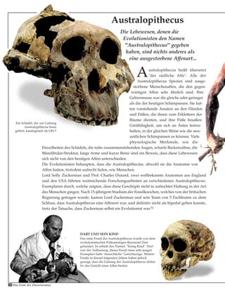 Die Lebewesen, denen die
Evolutionisten den Namen
"Australopithecus" gegeben
haben, sind nichts anderes als
eine ausgestorbene Affenart...
DART UND SEIN KIND
Das erste Fossil des Australopithecus wurde von dem
evolutionistischen Paläontologen Raymond Dart
gefunden. Es erhielt den Namen "Taung-Kind". Dart
war der Auffassung, dieses Fossil eines sehr jungen
Exemplars habe "menschliche" Gesichtszüge. Weitere
Funde in darauf folgenden Jahren haben jedoch
gezeigt, dass die Gattung des Australopithecus defini-
tiv das Gesicht eines Affen besitzt.
Australopithecus heißt übersetzt
"der südliche Affe". Alle der
Australopithecus Spezien sind ausge-
storbene Menschenaffen, die den gegen-
wärtigen Affen sehr ähnlich sind. Ihre
Gehirnmasse war die gleiche oder geringer
als die der heutigen Schimpansen. Sie hat-
ten vorstehende Ansätze an den Händen
und Füßen, die ihnen zum Erklettern der
Bäume dienten, und ihre Füße besaßen
Greiffähigkeit, um sich an Ästen festzu-
halten, in der gleichen Weise wie die neu-
zeitlichen Schimpansen es können. Viele
physiologische Merkmale, wie die
Einzelheiten des Schädels, die nahe zusammenstehenden Augen, scharfe Backenzähne, die
Mandibular-Struktur, lange Arme und kurze Beine sind ein Beweis, dass diese Lebewesen
sich nicht von den heutigen Affen unterschieden.
Die Evolutionisten behaupten, dass die Australopithecine, obwohl sie die Anatomie von
Affen hatten, trotzdem aufrecht liefen, wie Menschen.
Lord Solly Zuckerman und Prof. Charles Oxnard, zwei weltbekannte Anatomen aus England
und den USA führten weitreichende Forschungsarbeiten an verschiedenen Australopithecus-
Exemplaren durch, welche zeigten, dass diese Geschöpfe nicht in aufrechter Haltung in der Art
des Menschen gingen. Nach 15-jährigem Studium der Fossilknochen, welches von der britischen
Regierung getragen wurde, kamen Lord Zuckerman und sein Team von 5 Fachleuten zu dem
Schluss, dass Australopithecus eine Affenart war, und definitiv nicht als bipedal gelten konnte,
trotz der Tatsache, dass Zuckerman selbst ein Evolutionist war.51
Australopithecus
50 Das Ende des Darwinismus
Ein Schädel, der zur Gattung
Australopithecus bosei
gehört, katalogisiert als OH-5
 
