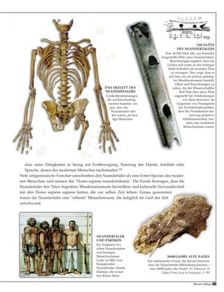 55Harun Yahya
dass seine Fähigkeiten in bezug auf Fortbewegung, Nutzung der Hände, Intellekt oder
Sprache, denen des modernen Menschen nachstanden.58
Viele zeitgenössische Forscher umschreiben den Neandertaler als eine Unter-Spezies des moder-
nen Menschen, und nennen ihn "Homo sapiens neandertalensis". Die Funde bezeugen, dass die
Neandertaler ihre Toten begruben, Musikinstrumente herstellten, und kulturelle Verwandtschaft
mit den Homo sapiens sapiens hatten, die zur selben Zeit lebten. Genau genommen
waren die Neandertaler eine "robuste" Menschenrasse, die lediglich im Lauf der Zeit
verschwand.
NEANDERTALER
UND ESKIMOS
Ein Vergleich zwi-
schen Neandertalern
und heutigen
Menschenrassen.
Links im Bild zwei
Neandertaler.
Neandertaler ähneln
Eskimos, die in kal-
tem Klima leben.
DIE FLÖTE
DES NEANDERTALERS
Eine 40.000 Jahre alte, aus Knochen
hergestellte Flöte eines Neandertalers.
Berechnungen ergaben, dass die
Löcher sich exakt an der richtigen
Stelle befinden um korrekte Töne
zu erzeugen. Dies zeigt, dass es
sich hier um ein präzise gefertig-
tes Musikinstrument handelt.
Oben sind Berechnungen zu
sehen, die der Wissenschaftler
Bob Fink über diese Flöte
angestellt hat. Entdeckungen
wie diese beweisen, im
Gegensatz zur Propaganda
der Evolutionstheoretiker,
dass die Neandertaler kei-
neswegs primitive
Höhlenmenschen, son-
dern eine zivilisierte
Menschenrasse waren.
DAS SKELETT DES
NEANDERTALERS
Größenbestimmungen,
die auf Knochenfrag-
menten basieren, zei-
gen, dass die
Neandertaler stär-
ker waren, als heu-
tige Menschen.
26000 JAHRE ALTE NADEL
Ein interessantes Fossil, das darauf hinweist,
dass die Neandertaler Bekleidung kannten –
eine 26000 Jahre alte Nadel. (D. Johanson, B.
Edgar From Lucy to Language, S. 99)
 