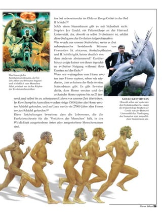 Harun Yahya 57
tus fast nebeneinander im Olduvai Gorge Gebiet in der Bed
II Schicht.60
Solch einen Stammbaum gibt es mit Sicherheit nicht.
Stephen Jay Gould, ein Paläontologe an der Harvard
Universität, der, obwohl er selbst Evolutionist ist, erklärt
diese Sackgasse der Evolution folgendermaßen:
Was wurde aus unserer Stufenleiter, wenn es drei
nebeneinander bestehende Stämme von
Hominiden (A. africanus, Australopithecine,
und H. habilis) gibt, keiner deutlich von
dem anderen abstammend? Darüber
hinaus zeigte keiner von ihnen irgendei-
ne evolutive Neigung während ihres
Daseins auf der Erde.61
Wenn wir weitergehen vom Homo erec-
tus zum Homo sapiens, sehen wir wie-
derum, dass es keinen der Rede werten
Stammbaum gibt. Es gibt Beweise
dafür, dass Homo erectus und der
archaische Homo sapiens bis zu 27 tau-
send, und selbst bis zu zehntausend Jahren vor unserer Zeit überlebten.
Im Kow Sumpf in Australien wurden einige 13000 Jahre alte Homo erec-
tus Schädel gefunden, und auf Java wurde ein 27000 Jahre alter Homo
erectus Schädel gefunden.62
Diese Entdeckungen beweisen, dass die Lebewesen, die die
Evolutionstheorie für die "Vorfahren der Menschen" hält, in der
Wirklichkeit ausgestorbene Arten oder ausgestorbene Menschenrassen
sind.
GOULD GESTEHT EIN
Obwohl selbst ein Verfechter
der Evolutionstheorie, räumt
der Paläontologe Stephen Jay
Gould von der Harvard
Universität den Niedergang
des Szenarios vom menschli-
chen Stammbaum ein.
Das Konzept des
Familienstammbaums, der bei
den Affen und Primaten beginnt
und schließlich zum Menschen
führt, existiert nur in den Köpfen
der Evolutionstheoretiker.
 