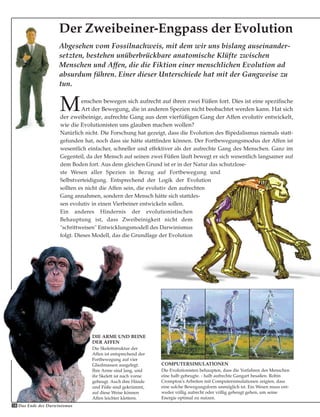 58 Das Ende des Darwinismus
Abgesehen vom Fossilnachweis, mit dem wir uns bislang auseinander-
setzten, bestehen unüberbrückbare anatomische Klüfte zwischen
Menschen und Affen, die die Fiktion einer menschlichen Evolution ad
absurdum führen. Einer dieser Unterschiede hat mit der Gangweise zu
tun.
Der Zweibeiner-Engpass der Evolution
Menschen bewegen sich aufrecht auf ihren zwei Füßen fort. Dies ist eine spezifische
Art der Bewegung, die in anderen Spezien nicht beobachtet werden kann. Hat sich
der zweibeinige, aufrechte Gang aus dem vierfüßigen Gang der Affen evolutiv entwickelt,
wie die Evolutionisten uns glauben machen wollen?
Natürlich nicht. Die Forschung hat gezeigt, dass die Evolution des Bipedalismus niemals statt-
gefunden hat, noch dass sie hätte stattfinden können. Der Fortbewegungsmodus der Affen ist
wesentlich einfacher, schneller und effektiver als der aufrechte Gang des Menschen. Ganz im
Gegenteil, da der Mensch auf seinen zwei Füßen läuft bewegt er sich wesentlich langsamer auf
dem Boden fort. Aus dem gleichen Grund ist er in der Natur das schutzlose-
ste Wesen aller Spezien in Bezug auf Fortbewegung und
Selbstverteidigung. Entsprechend der Logik der Evolution
sollten es nicht die Affen sein, die evolutiv den aufrechten
Gang annahmen, sondern der Mensch hätte sich stattdes-
sen evolutiv in einen Vierbeiner entwickeln sollen.
Ein anderes Hindernis der evolutionistischen
Behauptung ist, dass Zweibeinigkeit nicht dem
"schrittweisen" Entwicklungsmodell des Darwinismus
folgt. Dieses Modell, das die Grundlage der Evolution
COMPUTERSIMULATIONEN
Die Evolutionisten behaupten, dass die Vorfahren des Menschen
eine halb gebeugte. - halb aufrechte Gangart besaßen. Robin
Crompton's Arbeiten mit Computersimulationen zeigten, dass
eine solche Bewegungsform unmöglich ist. Ein Wesen muss ent-
weder völlig aufrecht oder völlig gebeugt gehen, um seine
Energie optimal zu nutzen.
DIE ARME UND BEINE
DER AFFEN
Die Skelettstruktur der
Affen ist entsprechend der
Fortbewegung auf vier
Gliedmassen ausgelegt.
Ihre Arme sind lang, und
ihr Skelett ist nach vorne
gebeugt. Auch ihre Hände
und Füße sind gekrümmt,
auf diese Weise können
Affen leichter klettern.
 