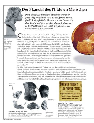 Gefälschtes
Steinwerkzeug,
mit einem
Taschenmesser
hergestellt
Menschliche
Schädelknochen
Orang-Utan
Kiefer
Das Ende des Darwinismus62
Charles Dawson, ein bekannter Arzt und gleichzeitig Amateur-
Paläo-Anthropologe trat 1912 mit der Behauptung auf, er hätte
einen Kieferknochen und ein Kranialfragment in einer Grube in
Piltdown in England gefunden. Obwohl der Kieferknochen mehr dem
eines Affen ähnlich war, waren die Zähne und der Schädel wie die eines
Menschen. Dieses Exemplar wurde als der "Piltdown Mensch" ausgezeich-
net. Angeblich 500tausend Jahre alt, wurden diese Gebeinsstücke als abso-
luter Beweis der menschlichen Evolution in mehreren Museen zur Schau
gestellt. Über einen Zeitraum von mehr als 40 Jahren wurden zahlreiche
wissenschaftliche Abhandlungen über den "Piltdown Menschen" geschrie-
ben, viele Interpretationen und Zeichnungen wurden gemacht, und das
Fossil wurde als ein wichtiger Nachweis der menschlichen Evolution prä-
sentiert. Nicht weniger als 500 Doktorarbeiten wurden über dieses Thema
geschrieben.66
Im Jahr 1949 unternahm Kenneth Oakley von der Paläontologie-Abteilung des
British Museum Probeversuche mit dem "Fluortest", einer neuentwickelten Testmethode, die
in der Altersbestimmung urzeitlicher Fossilien verwandt wird. Es wurde ein Probeversuch am
Fossil des Piltdown Menschen gemacht. Das Ergebnis löste großes Erstaunen aus. Im Lauf des
Versuchs stellte sich heraus, dass der Kieferknochen keine Fluorspuren enthielt. Dies wies dar-
auf hin, dass er nur etliche Jahre lang begraben gelegen war. Der Schädel, der nur eine geringe
Der Schädel des Piltdown Menschen wurde 40
Jahre lang der ganzen Welt als der größte Beweis
für die Richtigkeit der Theorie von der "menschli-
chen Evolution" gezeigt. Aber dieser Schädel war
in der Wirklichkeit die größte Fälschung in der
Geschichte der Wissenschaft.
Der Skandal des Piltdown Menschen
SCHLAGZEILE EINER
EVOLUTIONISTISCHEN ZEITUNG
Sobald das Piltdown - Fossil gefunden war,
stürzten sich viele Zeitungen begeistert auf
dieses Thema und machten ihre Titelseiten
mit riesigen Schlagzeilen auf. Die obige
Balkenüberschrift "Darwins Theorie ist
bewiesen" war in einer zeitgenössischen
Londener Zeitung abgedruckt.
Die Büste
des Piltdown
Menschen,
die ehemals
in Museen
ausgestellt
war.
DIE TEILE DES SCHÄDELS
Die in die Piltdown Grube von Dawson hineinpraktizier-
ten und dann "entdeckten" Fragmente. Die Teile waren
geschickt zusammenmontiert worden.
 