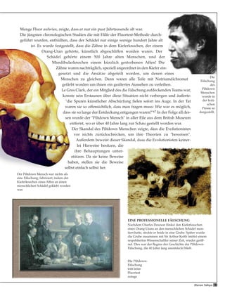 63Harun Yahya
Menge Fluor aufwies, zeigte, dass er nur ein paar Jahrtausende alt war.
Die jüngsten chronologischen Studien die mit Hilfe der Fluortest-Methode durch-
geführt wurden, enthüllten, dass der Schädel nur einige wenige hundert Jahre alt
ist. Es wurde festgestellt, dass die Zähne in dem Kieferknochen, der einem
Orang-Utan gehörte, künstlich abgeschliffen worden waren. Der
Schädel gehörte einem 500 Jahre alten Menschen, und der
Mandibularknochen einem kürzlich gestorbenen Affen! Die
Zähne waren nachträglich, speziell angeordnet in den Kiefer ein-
gesetzt und die Ansätze abgefeilt worden, um denen eines
Menschen zu gleichen. Dann waren alle Teile mit Natriumdichromat
gefärbt worden um ihnen ein gealtertes Aussehen zu verleihen.
Le Gros Clark, der ein Mitglied des die Fälschung aufdeckenden Teams war,
konnte sein Erstaunen über diese Situation nicht verbergen und äußerte:
"die Spuren künstlicher Abschürfung fielen sofort ins Auge. In der Tat
waren sie so offensichtlich, dass man fragen muss: Wie war es möglich,
dass sie so lange der Entdeckung entgangen waren?"67 In der Folge all des-
sen wurde der "Piltdown Mensch" in aller Eile aus dem British Museum
entfernt, wo er über 40 Jahre lang zur Schau gestellt worden war.
Der Skandal des Piltdown Menschen zeigte, dass die Evolutionisten
vor nichts zurückschrecken, um ihre Theorien zu "beweisen".
Außerdem beweist dieser Skandal, dass die Evolutionisten keiner-
lei Hinweise besitzen, die
ihre Behauptungen unter-
stützen. Da sie keine Beweise
haben, stellen sie die Beweise
selbst einfach selbst her.
Die Piltdown-
Fälschung
tritt beim
Fluortest
zutage
EINE PROFESSIONELLE FÄLSCHUNG
Nachdem Charles Dawson (links) den Kieferknochen
eines Orang-Utans an den menschlichen Schädel mon-
tiert hatte, steckte er beide in eine Grube. Später wurde
die Grube zusammen mit Sir Arthur Keith (mitte) einem
respektierten Wissenschaftler seiner Zeit, wieder geöff-
net. Dies war der Beginn der Geschichte der Piltdown-
Fälschung, die 40 Jahre lang unentdeckt blieb.
Der Piltdown Mensch war nichts als
eine Fälschung, fabriziert, indem der
Kieferknochen eines Affen an einen
menschlichen Schädel geklebt worden
war.
Die
Fälschung
des
Piltdown
Menschen
wurde in
der briti-
schen
Presse so
dargestellt.
 