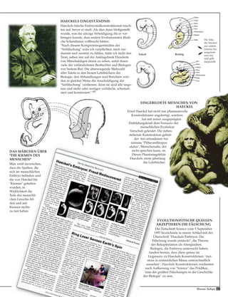 65Harun Yahya
DAS MÄRCHEN ÜBER
"DIE KIEMEN DES
MENSCHEN"
Man weiß inzwischen,
dass die Spalten, die
sich im menschlichen
Embryo befinden und
die von Haeckel für
"Kiemen" gehalten
wurden, in
Wirklichkeit die
Teile des menschli-
chen Gesichts bil-
den und mit
Kiemen nichts
zu tun haben.
EVOLUTIONISTISCHE QUELLEN
AKZEPTIEREN DIE FÄLSCHUNG
Die Zeitschrift Science vom 5 September
1997 bezeichnete in einem Artikel mit der
Überschrift "Haeckels Embryos: Die
Fälschung wurde entdeckt", die Theorie
der Rekapitulation als Aberglauben.
Biologen, die Embryos untersucht haben,
fanden heraus, dass diese genau im
Gegensatz zu Haeckels Konstruktionen "mei-
stens in erstaunlichen Masse unterschiedlich
aussehen". Haeckels Konstruktionen verdienten
nach Auffassung von "Science" das Prädikat,
"eine der größten Fälschungen in der Geschichte
der Biologie" zu sein.
Falten
Falten
Auge
Haut
Haut
Ohr
Arm
Arm
Herz
Herz
Nase
Füße
Füße
Falsch Richtig
Wirbelsäule
Wirbelsäule
Magen
Die Teile,
die Haeckel
aus seinem
Schema her-
ausgenom-
men hat,
sind gelb
dargestellt.
EINGEBILDETE MENSCHEN VON
HAECKEL
Ernst Haeckel hat nicht nur phantasievolle
Konstruktionen angefertigt, sondern
hat mit seiner ausgeprägten
Einbildungskraft dem Szenario der
menschlichen Evolution
Vorschub geleistet. Die neben-
stehende Konstruktion gehört
der frei erfundenen Art
namens "Pithecanthropus
alalus", Menschenaffe, der
nicht sprechen kann, an.
Dieses Phantasiegebilde
Haeckels zierte jahrelang
die Lehrbücher.
HAECKELS EINGESTÄNDNIS
Haeckels falsche Embryonalkonstruktionen tauch-
ten auf, bevor er starb. Als dies dann bloßgestellt
wurde, war die einzige Verteidigung die er vor-
bringen konnte, dass andere Evolutionisten ähnli-
che Schandtaten vollbracht hätten:
"Nach diesem Kompromissgeständnis der
"Verfälschung" wäre ich verpflichtet, mich ver-
dammt und zerstört zu fühlen, hätte ich nicht den
Trost, neben mir auf der Anklagebank Hunderte
von Mitschuldigen sitzen zu sehen, unter ihnen
viele der verlässlichsten Beobachter und Biologen
von bestem Ruf. Die überwiegende Mehrzahl
aller Tafeln in den besten Lehrbüchern der
Biologie, den Abhandlungen und Berichten wür-
den in gleicher Weise die Anschuldigung der
"Verfälschung" verdienen, denn sie sind alle unge-
nau und mehr oder weniger verfälscht, schemati-
siert und konstruiert." 69
 