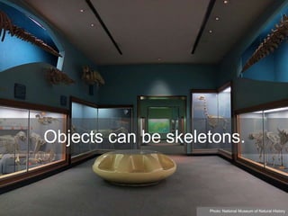 Objects can be skeletons.
Photo: National Museum of Natural History
 