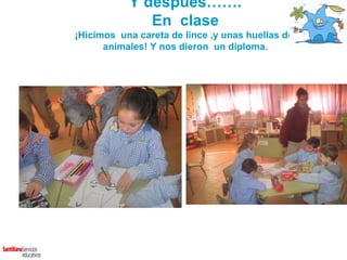 Y después…….
              En clase
¡Hicimos una careta de lince ,y unas huellas de
      animales! Y nos dieron un diploma.
 