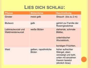 Lies dich schlau: