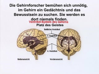 Die Gehirnforscher bemühen sich unnötig,  im Gehirn ein Gedächtnis und das  Bewusstsein zu suchen. Sie werden es  dort niemals finden. Platz des Geistes 