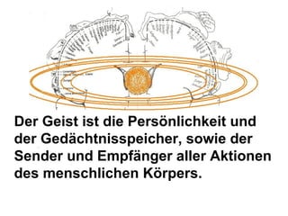 Der Geist ist die Persönlichkeit und der Gedächtnisspeicher, sowie der Sender und Empfänger aller Aktionen des menschlichen Körpers.  
