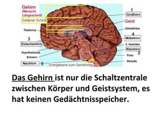 Das Gehirn  ist nur die Schaltzentrale zwischen Körper und Geistsystem, es hat keinen Gedächtnisspeicher. 