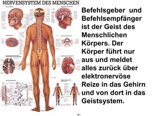 Befehlsgeber  und Befehlsempfänger  ist der Geist des Menschlichen Körpers. Der Körper führt nur aus und meldet  alles zurück über elektronervöse Reize in das Gehirn und von dort in das Geistsystem. 