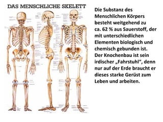 Die Substanz des Menschlichen Körpers besteht weitgehend zu  ca. 62 % aus Sauerstoff, der mit unterschiedlichen Elementen biologisch und chemisch gebunden ist. Der Knochenbau ist sein irdischer „Fahrstuhl“, denn nur auf der Erde braucht er dieses starke Gerüst zum Leben und arbeiten. 