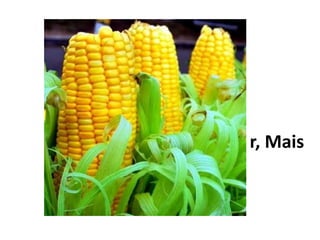 Der
Mais
 