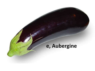 die Aubergine
 