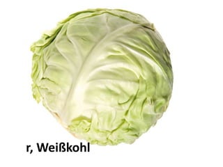 der Weißkohl
 