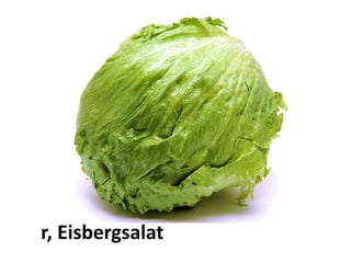 der Eisbergsalat
 