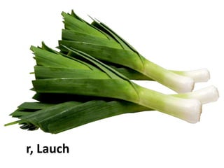 der Lauch
 