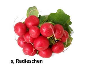 das Radieschen
 