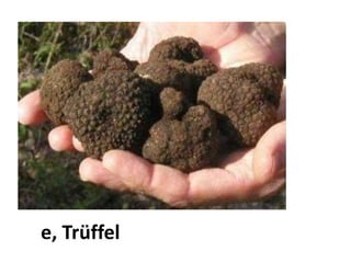 die Trüffel, der Trüffel
 