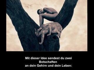 Das gesetz der leere