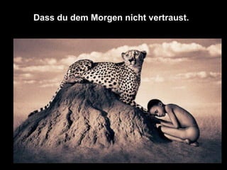 Das gesetz der leere