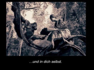 Das gesetz der leere