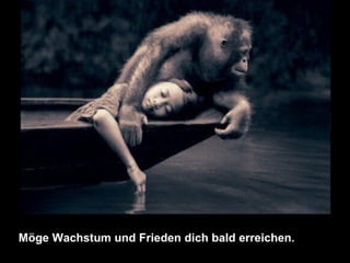 Das gesetz der leere