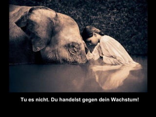 Das gesetz der leere