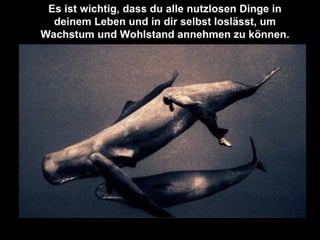 Das gesetz der leere