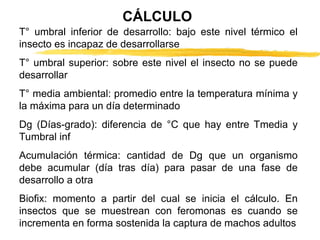 Días grado y modelación de ciclo (2).ppt