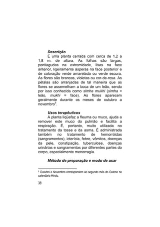 Descrição
      É uma planta cerrada com cerca de 1,2 a
1,8 m. de altura. As folhas são largas,
pontiagudas na extremidade, lisas na face
anterior, ligeiramente ásperas na face posterior e
de coloração verde amarelada ou verde escura.
As flores são brancas, violetas ou cor-de-rosa. As
pétalas são arranjadas de tal maneira que as
flores se assemelham a boca de um leão, sendo
por isso conhecida como simha mukhi (simha =
leão, mukhi = face). As flores aparecem
geralmente durante os meses de outubro a
novembro5.

      Usos terapêuticos
      A planta liqüefaz a fleuma ou muco, ajuda a
remover este muco do pulmão e facilita a
respiração. É, portanto, muito utilizada no
tratamento da tosse e da asma. É administrada
também      no    tratamento     de   hemorróidas
(sangramentos), icterícia, febre, vômitos, doenças
da pele, constipação, tuberculose, doenças
urinárias e sangramentos por diferentes partes do
corpo, especialmente menorragia.

      Método de preparação e modo de usar

5Outubro e Novembro correspondem ao segundo mês do Outono no
calendário Hindu.

38
 