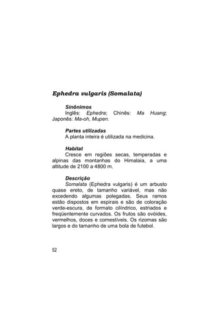 Ephedra vulgaris (Somalata)

     Sinônimos
     Inglês: Ephedra; Chinês:        Ma    Huang;
Japonês: Ma-oh, Mupen.

     Partes utilizadas
     A planta inteira é utilizada na medicina.

       Habitat
       Cresce em regiões secas, temperadas e
alpinas das montanhas do Himalaia, a uma
altitude de 2100 a 4800 m.

      Descrição
      Somalata (Ephedra vulgaris) é um arbusto
quase ereto, de tamanho variável, mas não
excedendo algumas polegadas. Seus ramos
estão dispostos em espirais e são de coloração
verde-escura, de formato cilíndrico, estriados e
freqüentemente curvados. Os frutos são ovóides,
vermelhos, doces e comestíveis. Os rizomas são
largos e do tamanho de uma bola de futebol.



52
 