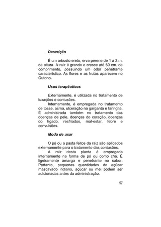 Descrição

      É um arbusto ereto, erva perene de 1 a 2 m.
de altura. A raiz é grande e cresce até 60 cm. de
comprimento, possuindo um odor penetrante
característico. As flores e as frutas aparecem no
Outono.

     Usos terapêuticos

      Externamente, é utilizada no tratamento de
luxações e contusões.
      Internamente, é empregada no tratamento
de tosse, asma, ulceração na garganta e faringite.
É administrada também no tratamento das
doenças de pele, doenças do coração, doenças
do fígado, resfriados, mal-estar, febre e
convulsões.

     Modo de usar

       O pó ou a pasta feitos da raiz são aplicados
externamente para o tratamento das contusões.
       A raiz desta planta é empregada
internamente na forma de pó ou como chá. É
ligeiramente amarga e penetrante no sabor.
Portanto, pequenas quantidades de açúcar
mascavado indiano, açúcar ou mel podem ser
adicionadas antes da administração.

                                                57
 