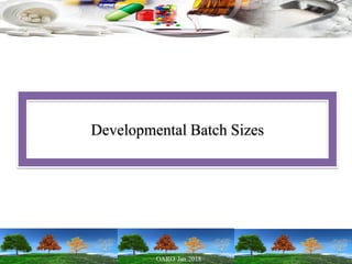 Developmental Batch Sizes
 