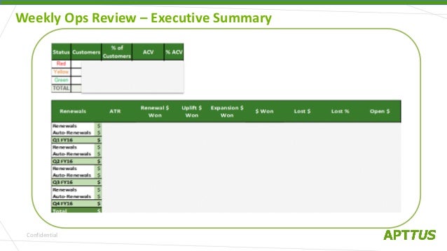 customer success operational dashboards for executives and leads