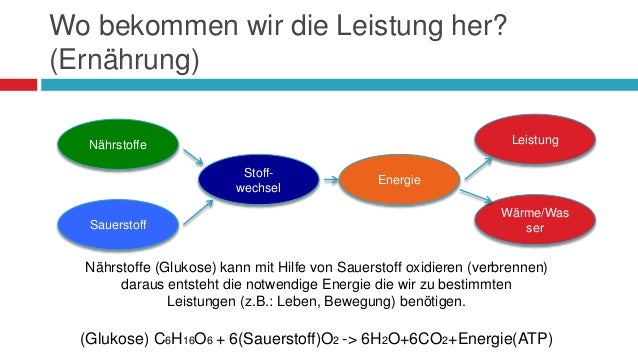 einfach gesättigte fettsäuren