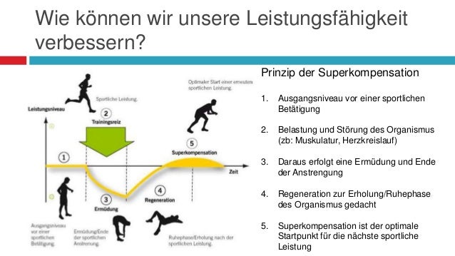 Prinzip Der Optimalen Relation Von Belastung Und Erholung Das Herz mehr als ein Organ!