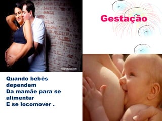 Gestação




Quando bebês
dependem
Da mamãe para se
alimentar
E se locomover .
 