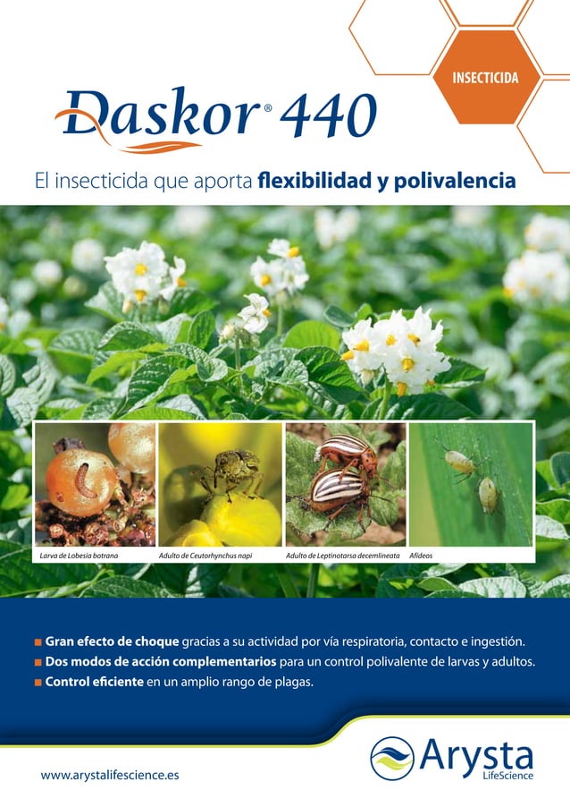 Daskor 440 folleto | PDF