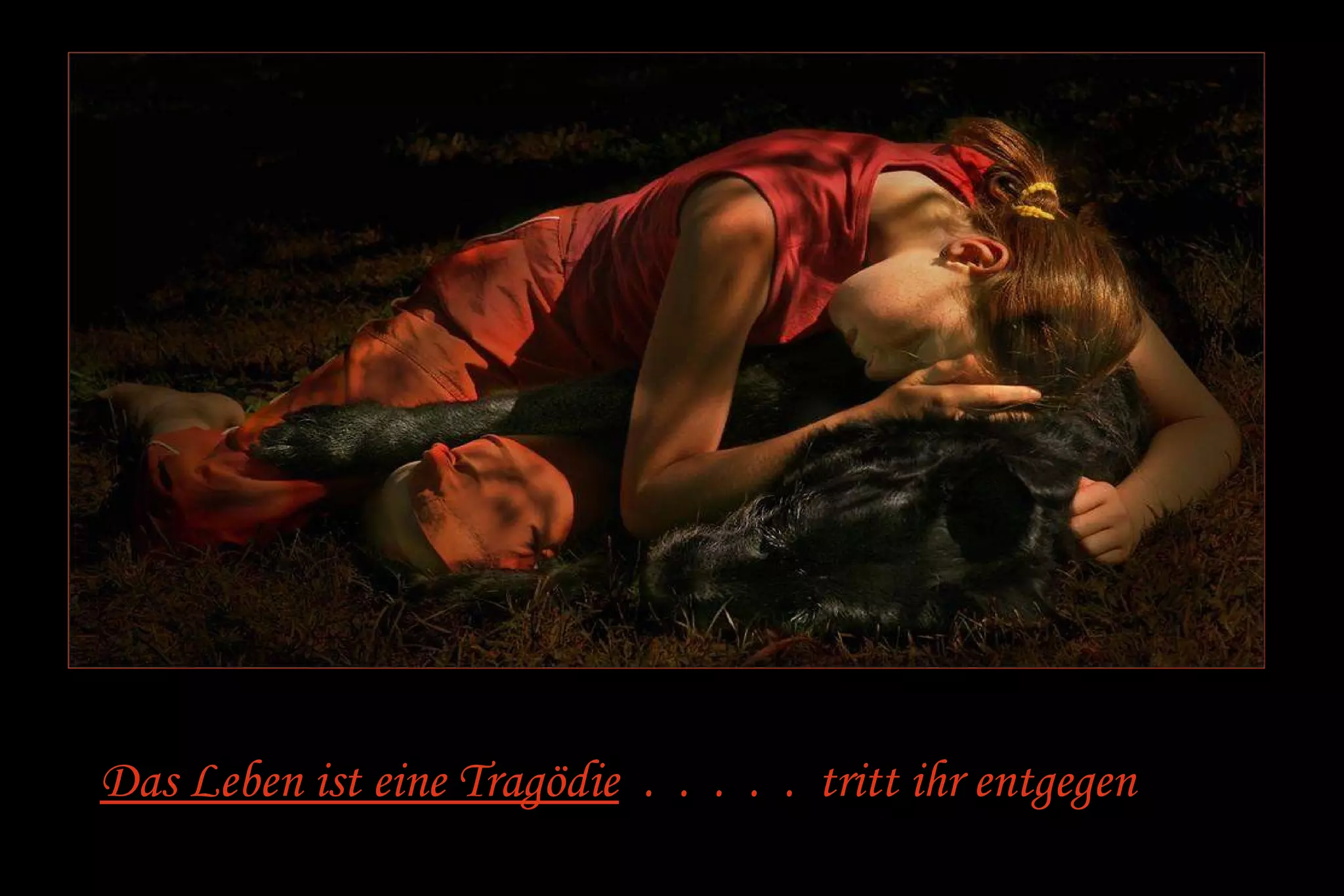 Das Leben ist eine Tragödie . . . . . tritt ihr entgegen 
 