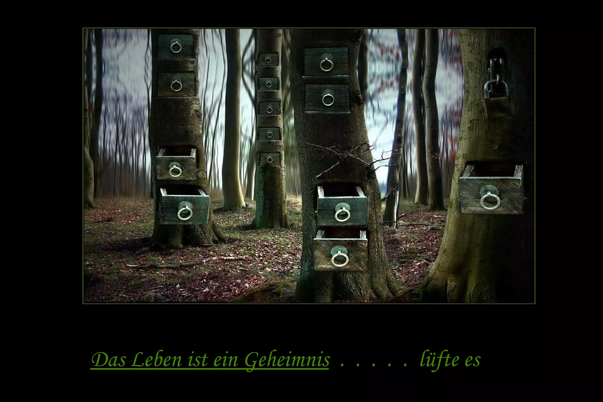 Das Leben ist ein Geheimnis . . . . . lüfte es 
 