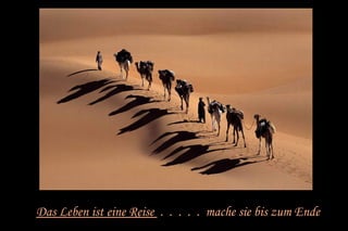 Das Leben ist eine Reise . . . . . mache sie bis zum Ende 
 