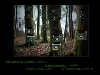 Das Leben ist ein Geheimnis  …. lüfte es The life is a secret …. air it La vie est un secret ….révéle - le La vida es un secreto  …. devélalo 