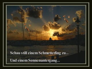 Schau still einem Schmetterling zu... Und einem Sonnenuntergang... 