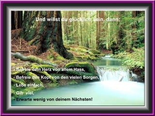 Befreie dein Herz von allem Hass, Befreie den Kopf von den vielen Sorgen, Lebe einfach, Gib  viel, Und willst du glücklich sein, dann: - Erwarte wenig von deinem Nächsten! 