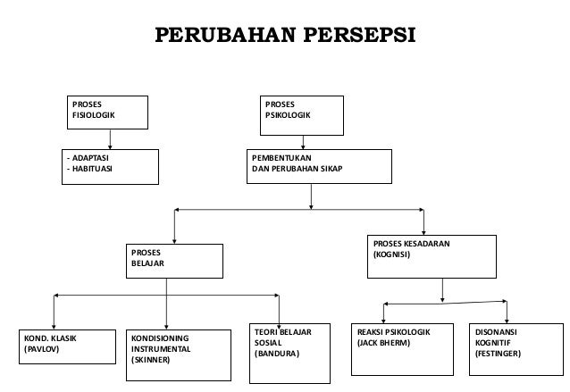 Persepsi Lingkungan Dan Kognisi Lingkungan Psikologi Persepsi Lingkungan Dan Kognisi Lingkungan Psikologi
