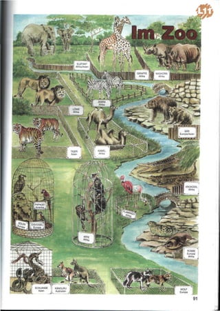 Німецька мова_4_клас_Das neue deutschmobil_lehrbuch