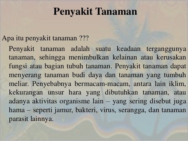  Penyakit pada tanaman yang disebabkan oleh fitoplasma