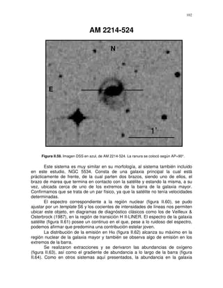 102



                                AM 2214-524

                                             N




         E




                                                                    1’

     Figura II.59. Imagen DSS en azul, de AM 2214-524. La ranura se colocó según AP=90°.

        Este sistema es muy similar en su morfología, al sistema también incluido
en este estudio, NGC 5534. Consta de una galaxia principal la cual está
prácticamente de frente, de la cual parten dos brazos, siendo uno de ellos, el
brazo de marea que termina en contacto con la satélite y estando la misma, a su
vez, ubicada cerca de uno de los extremos de la barra de la galaxia mayor.
Confirmamos que se trata de un par físico, ya que la satélite no tenía velocidades
determinadas.
        El espectro correspondiente a la región nuclear (figura II.60), se pudo
ajustar por un template S6 y los cocientes de intensidades de líneas nos permiten
ubicar este objeto, en diagramas de diagnóstico clásicos como los de Veilleux &
Osterbrock (1987), en la región de transición H II-LINER. El espectro de la galaxia
satélite (figura II.61) posee un continuo en el que, pese a lo ruidoso del espectro,
podemos afirmar que predomina una contribución estelar joven.
        La distribución de la emisión en Hα (figura II.62) alcanza su máximo en la
región nuclear de la galaxia mayor y también se observa algo de emisión en los
extremos de la barra.
        Se realizaron extracciones y se derivaron las abundancias de oxígeno
(figura II.63), así como el gradiente de abundancia a lo largo de la barra (figura
II.64). Como en otros sistemas aquí presentados, la abundancia en la galaxia
 