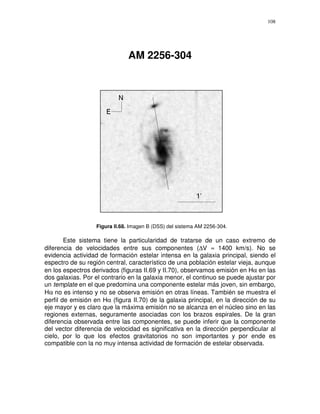 108




                               AM 2256-304




                   Figura II.68. Imagen B (DSS) del sistema AM 2256-304.

        Este sistema tiene la particularidad de tratarse de un caso extremo de
diferencia de velocidades entre sus componentes (∆V ≈ 1400 km/s). No se
evidencia actividad de formación estelar intensa en la galaxia principal, siendo el
espectro de su región central, característico de una población estelar vieja, aunque
en los espectros derivados (figuras II.69 y II.70), observamos emisión en Hα en las
dos galaxias. Por el contrario en la galaxia menor, el continuo se puede ajustar por
un template en el que predomina una componente estelar más joven, sin embargo,
Hα no es intenso y no se observa emisión en otras líneas. También se muestra el
perfil de emisión en Hα (figura II.70) de la galaxia principal, en la dirección de su
eje mayor y es claro que la máxima emisión no se alcanza en el núcleo sino en las
regiones externas, seguramente asociadas con los brazos espirales. De la gran
diferencia observada entre las componentes, se puede inferir que la componente
del vector diferencia de velocidad es significativa en la dirección perpendicular al
cielo, por lo que los efectos gravitatorios no son importantes y por ende es
compatible con la no muy intensa actividad de formación de estelar observada.
 